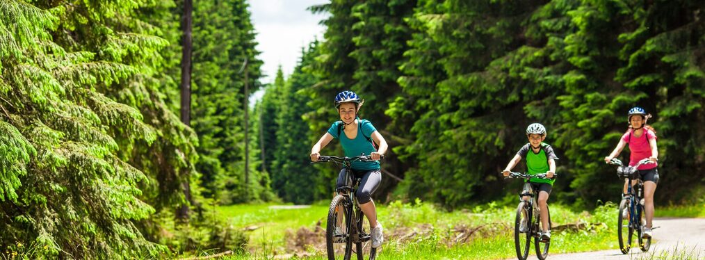 Drei Personen sind mit Mountainbikes im Wald unterwegs